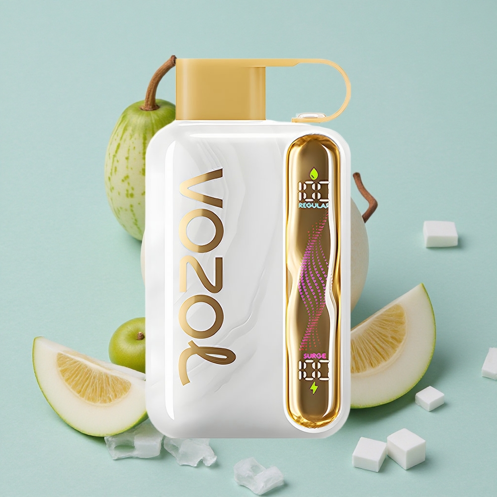 VOZOL STAR 40000 Puffs Melone-Eis Einweg-Vape 1000mAh Typ-C vape großhandel Deutschland