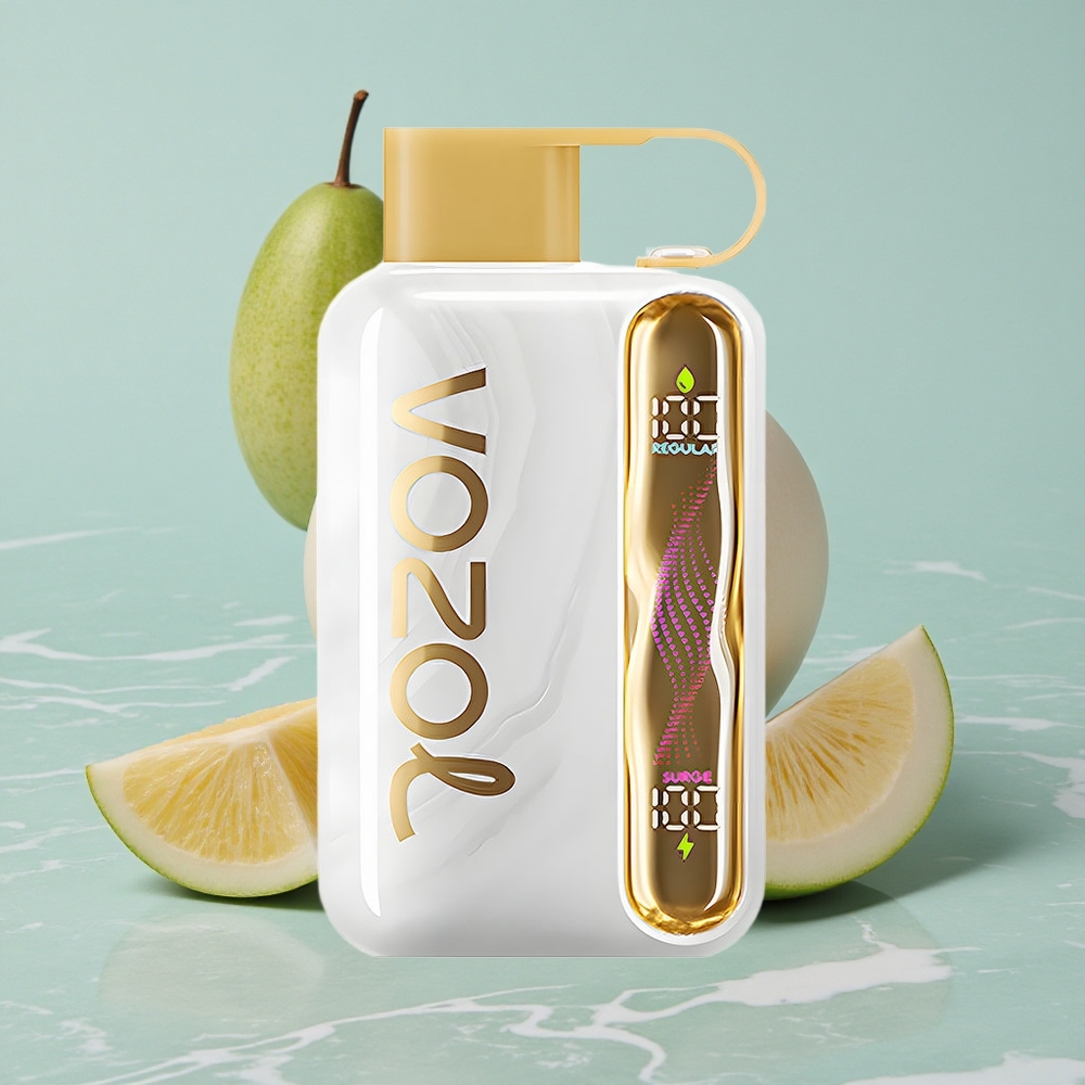 VOZOL STAR 40000 Puffs Melonenkaugummi Geschmack 1000mAh Typ-C vape großhandel Deutschland