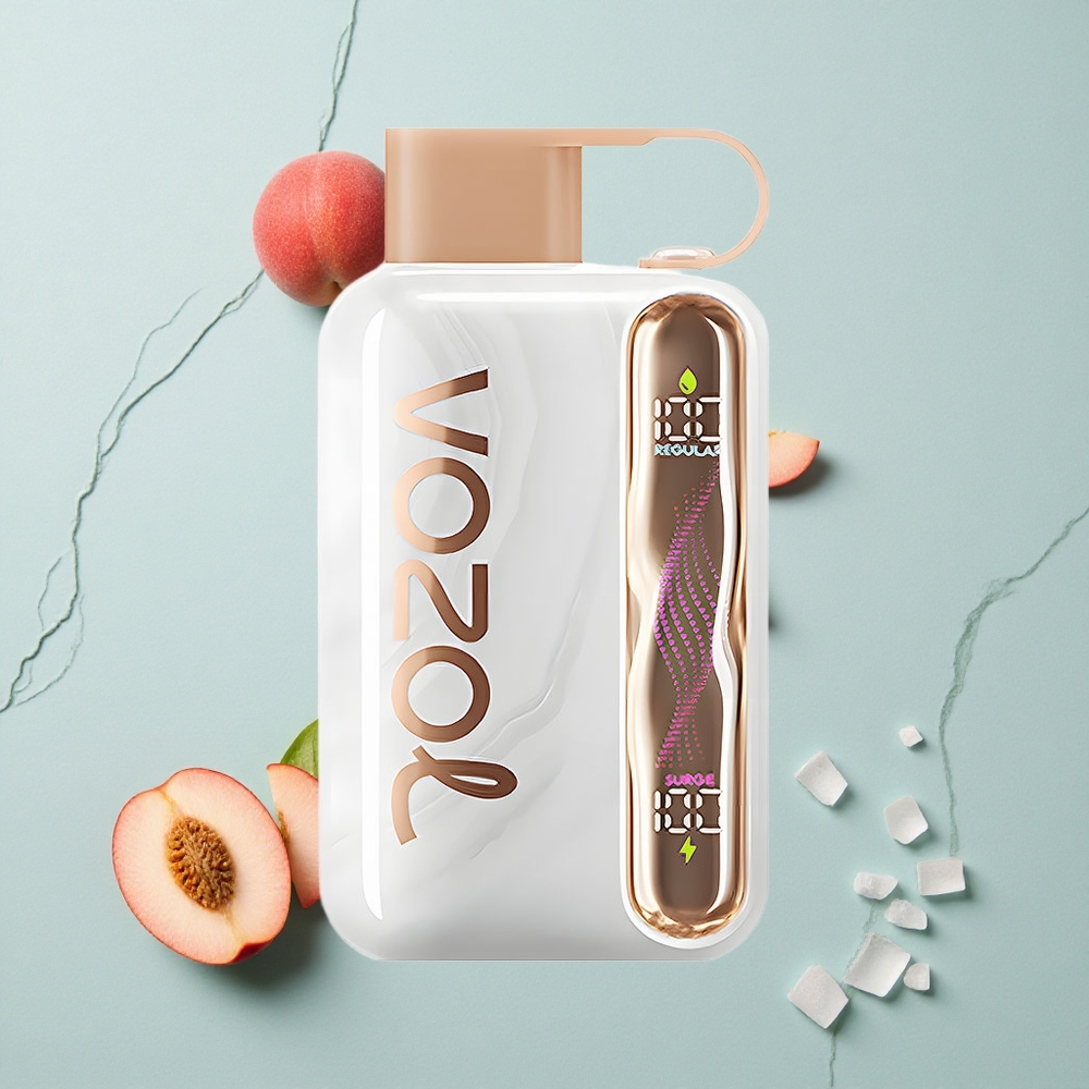 VOZOL STAR 40000 Puffs Pfirsich-Eis Einweg-Vape 1000mAh Typ-C vape großhandel Deutschland