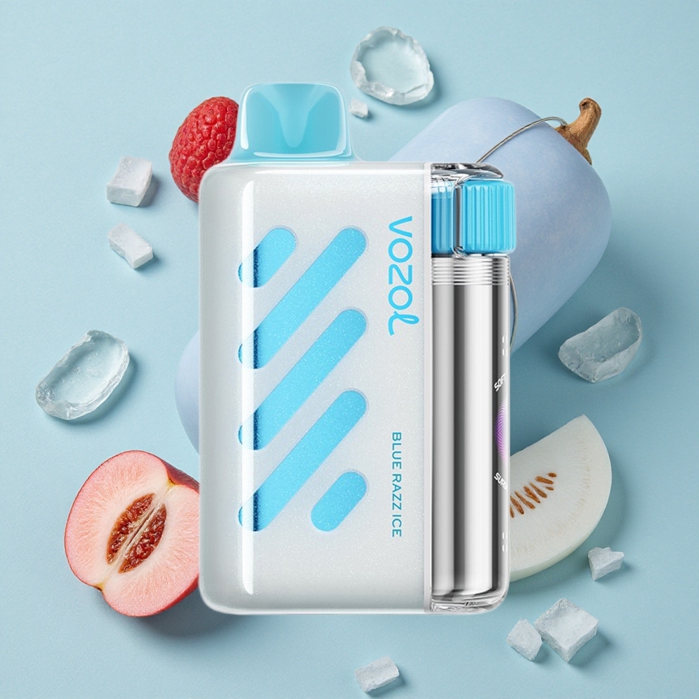 VOZOL VISTA 40000 Puffs Einweg-Vape Blaue Himbeere Eis MTL Wiederaufladbar vape großhandel Deutschland